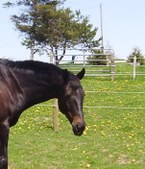 Enlarge photo 410