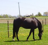 Enlarge photo 407