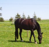 Enlarge photo 408