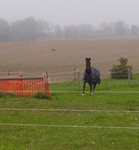 Enlarge photo 57