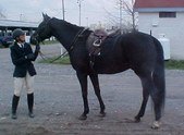 Enlarge photo 128