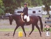 Highland Hurrah and Java Java