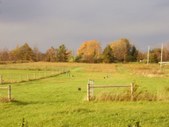 Enlarge photo 300