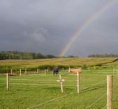 Enlarge photo 18