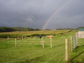 Enlarge photo 16