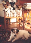 Enlarge photo 60