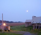 Enlarge photo 15