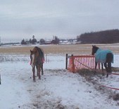 Enlarge photo 156