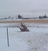 Enlarge photo 151