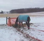 Enlarge photo 154