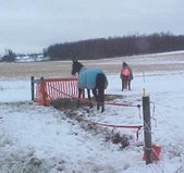Enlarge photo 155