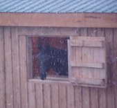 Enlarge photo 74