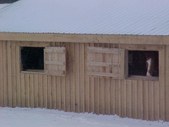 Enlarge photo 83