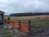 Enlarge photo 58