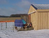 Enlarge photo 91