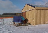 Enlarge photo 97