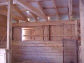 Enlarge photo 95