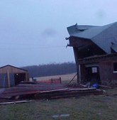 Enlarge photo 113