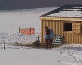 Enlarge photo 188