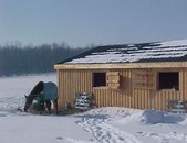 Enlarge photo 186