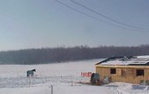 Enlarge photo 183