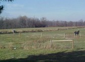 Enlarge photo 19