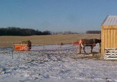 Enlarge photo 162
