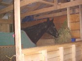 Enlarge photo 161