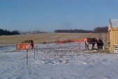 Enlarge photo 164