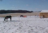 Enlarge photo 168