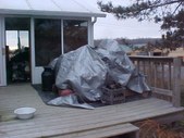 Enlarge photo 146