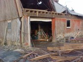Enlarge photo 117