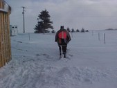 Enlarge photo 174