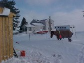 Enlarge photo 175
