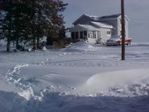 Enlarge photo 181