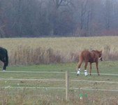 Enlarge photo 27