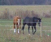 Enlarge photo 28