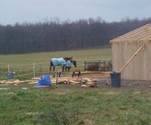 Enlarge photo 29