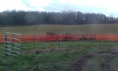Enlarge photo 38