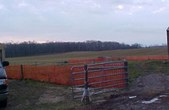 Enlarge photo 49