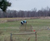 Enlarge photo 53