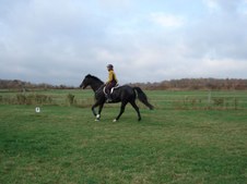 Enlarge photo 70