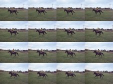 Enlarge photo 87