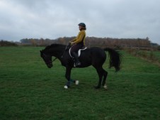 Enlarge photo 83