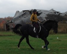 Enlarge photo 96