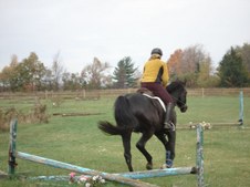 Enlarge photo 55