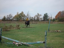 Enlarge photo 48