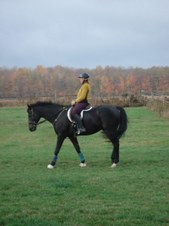 Enlarge photo 22