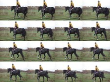 Enlarge photo 33