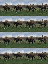 Enlarge photo 32